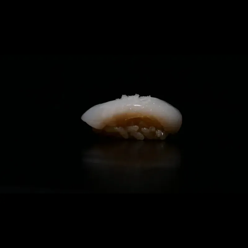 Nigiri poisson blanc sur riz vinaigré, sushi omakase Kinkō Capbreton